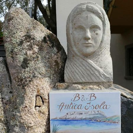 올비아 Antica Isola B&B 외부 사진