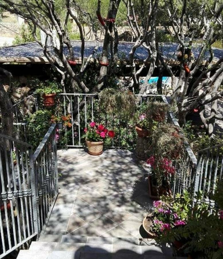 올비아 Antica Isola B&B 외부 사진