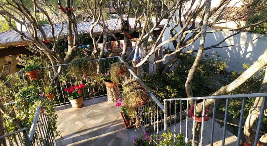 올비아 Antica Isola B&B 외부 사진